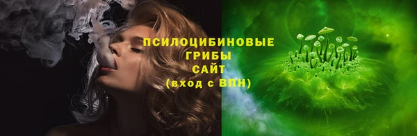 соль ск Алексин