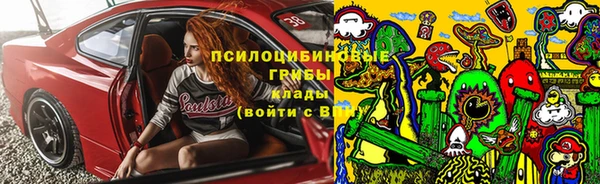 соль ск Алексин