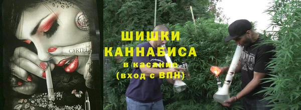 соль ск Алексин
