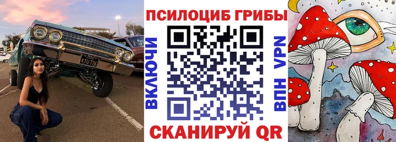 Псилоцибиновые грибы MAGIC MUSHROOMS  наркошоп  Закаменск 